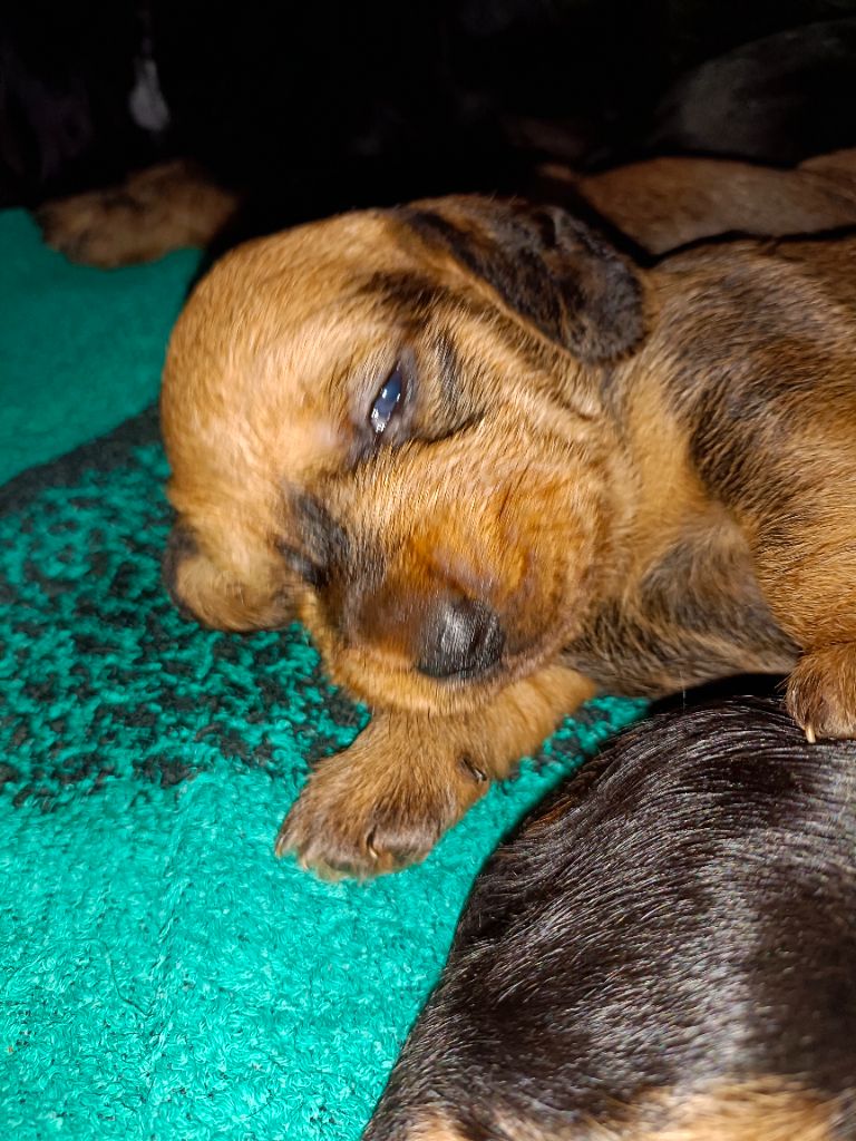 ATHOS