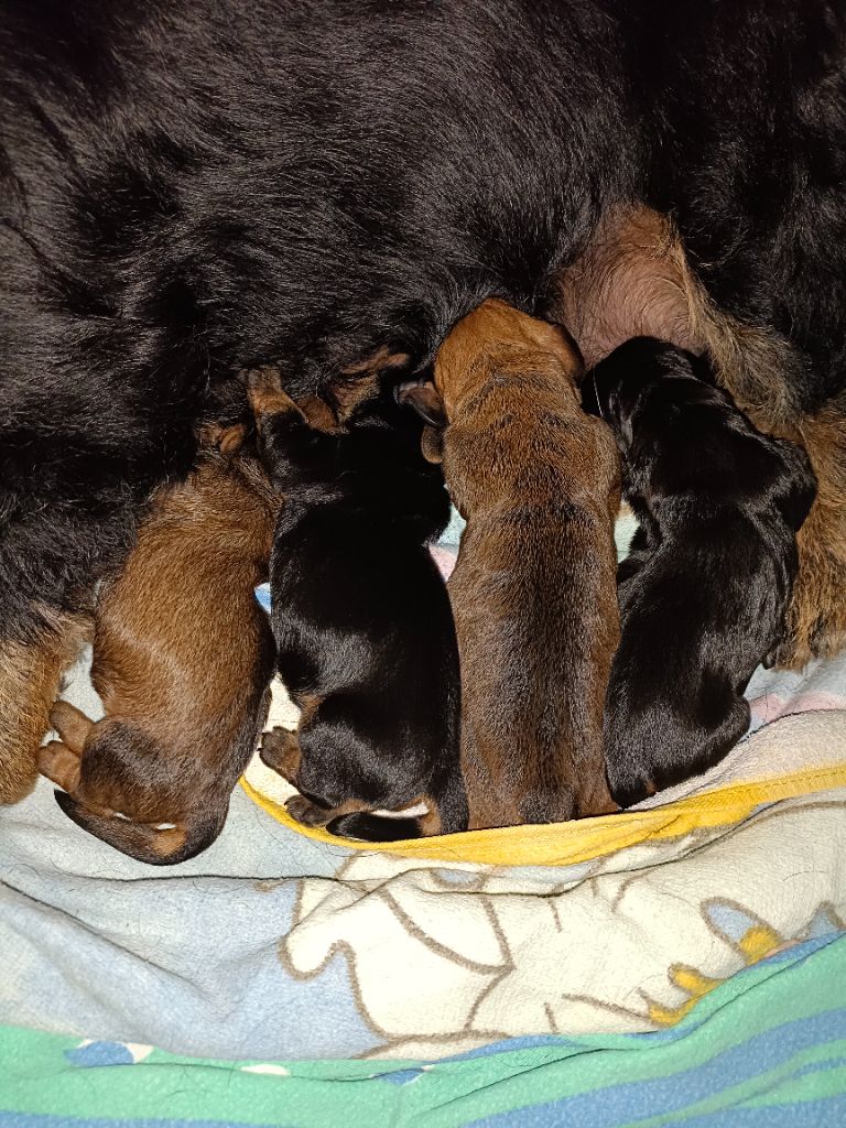 NAISSANCE LUNDI 15 SEPTEMBRE 2025